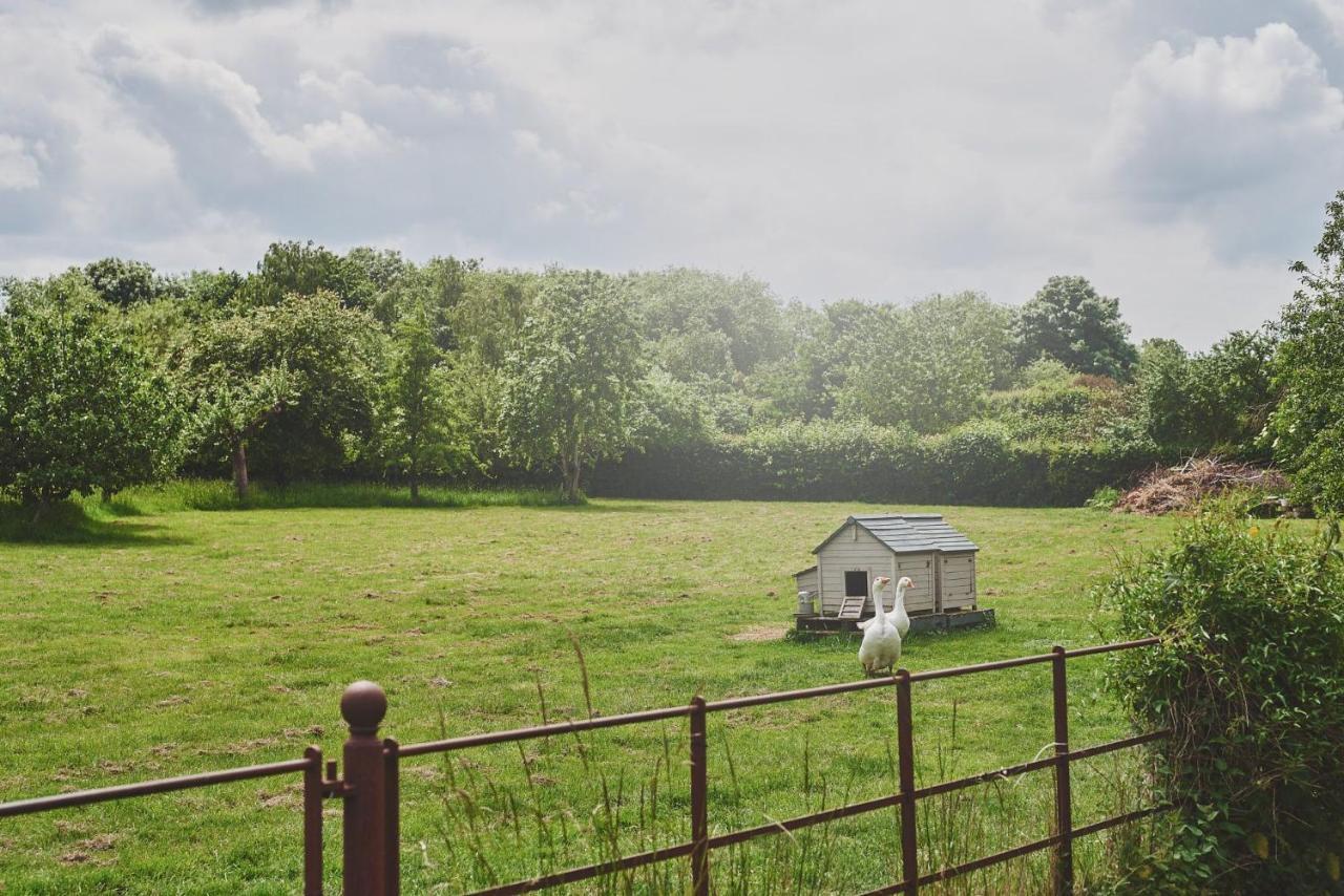 Apple Tree Cottage Beckford Extérieur photo